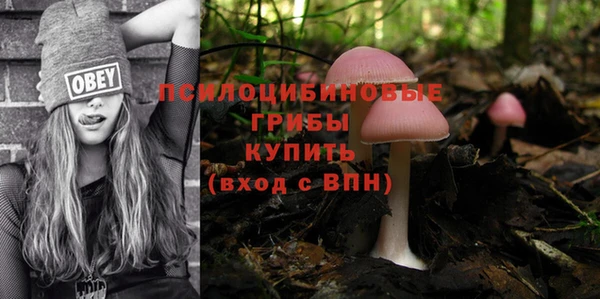 герыч Абаза