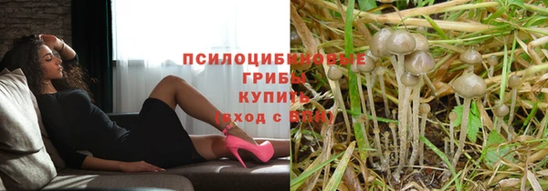 амф Абинск