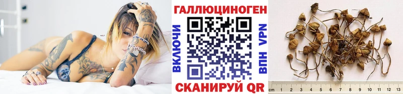 hydra сайт  Руза  Псилоцибиновые грибы Psilocybe 